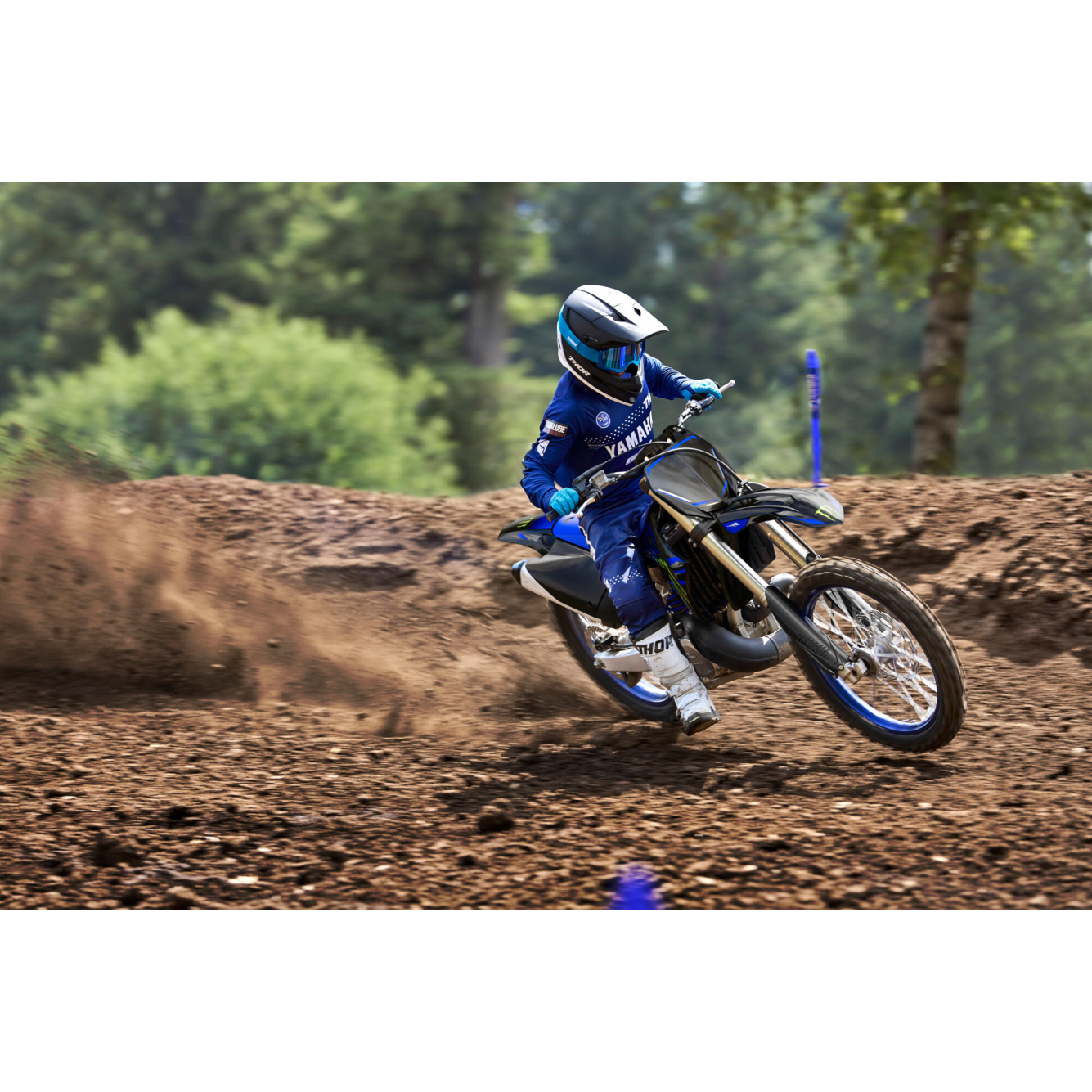 Yamaha | Crossmotor YZ 250 Monster Energy Edition